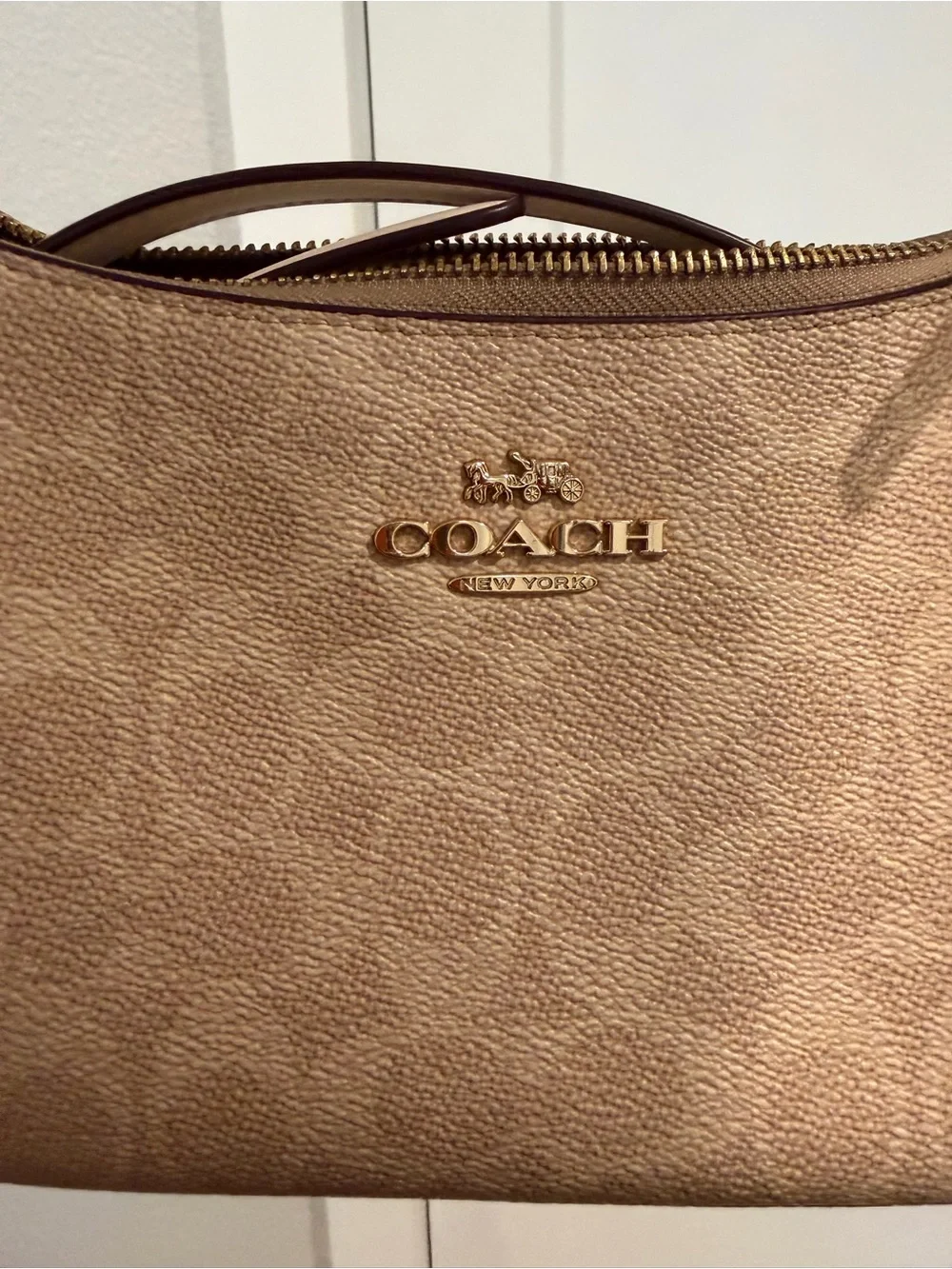 Coach signature canvas